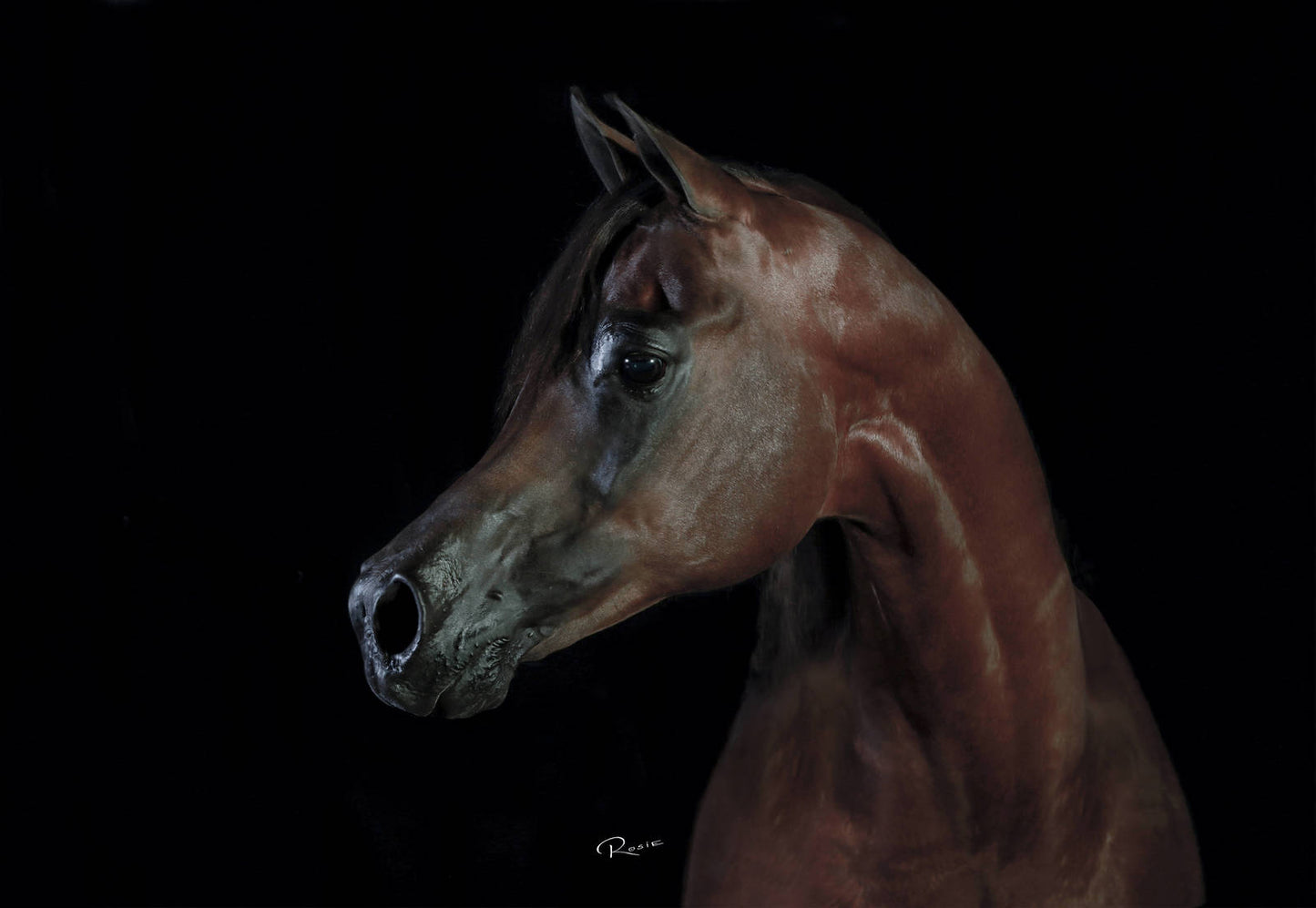 El Tino